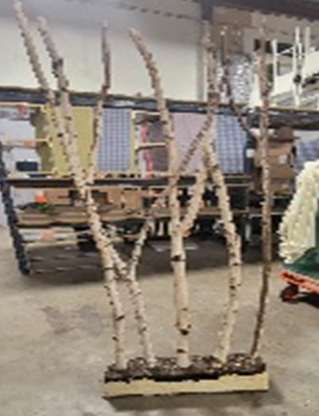 [EDW-017] Birch Wall