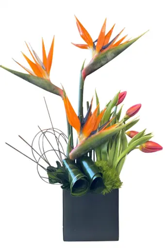 [BFA-Oasis] Oasis Arrangement