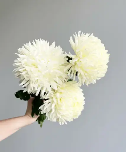 [BFF-1145] Mums - Football