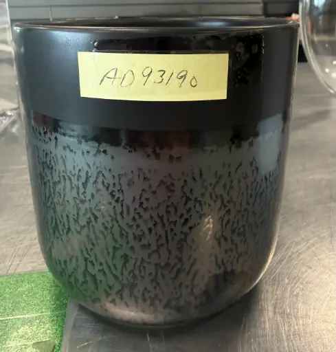 [BFV-AD93190] Lennon Pot - 5" x 5.25"