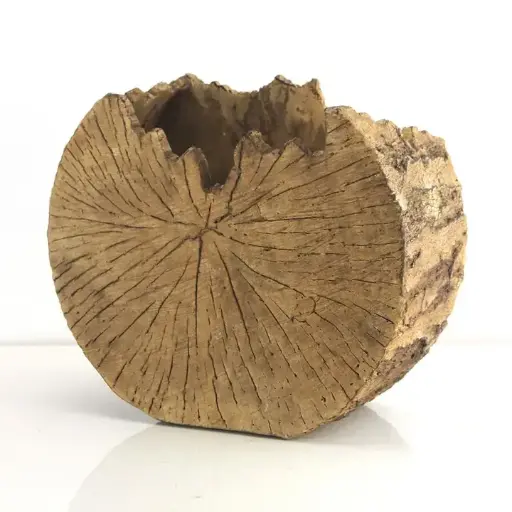 [BFV-16-1601WD] 8.5" Ceramic Trunk Planter